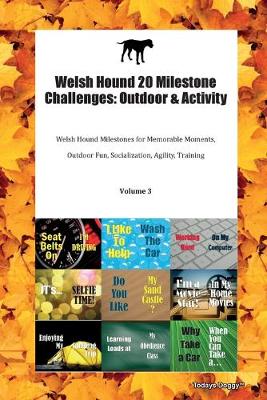 Welsh Hound 20 Milestone Challenges: Outdoor & Activity Welsh Hound Milestones for Memorable Moments, Outdoor Fun, Socialization, Agility, Training Volume 3 (Paperback)