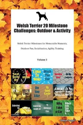 Welsh Terrier 20 Milestone Challenges: Outdoor & Activity Welsh Terrier Milestones for Memorable Moments, Outdoor Fun, Socialization, Agility, Training Volume 3 (Paperback)