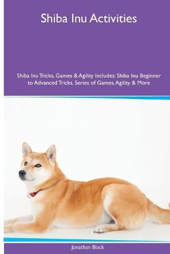 Shiba sales inu agility