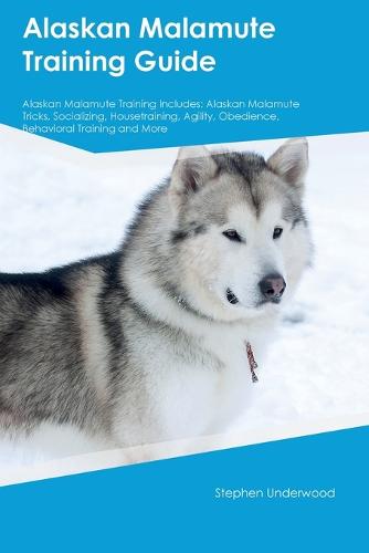 Malamute agility best sale