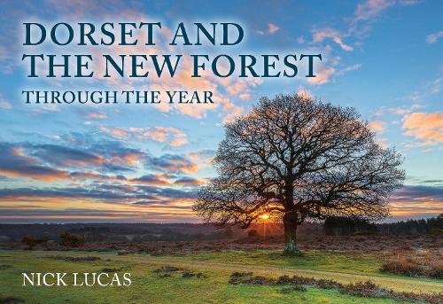 Dorset And The New Forest Through The Year