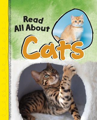 Read All About Cats by Jaclyn Jaycox | Waterstones
