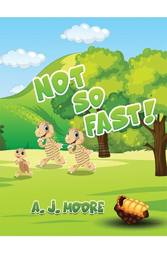 Not So Fast! (Paperback)