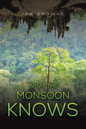 What the Monsoon Knows (Paperback)