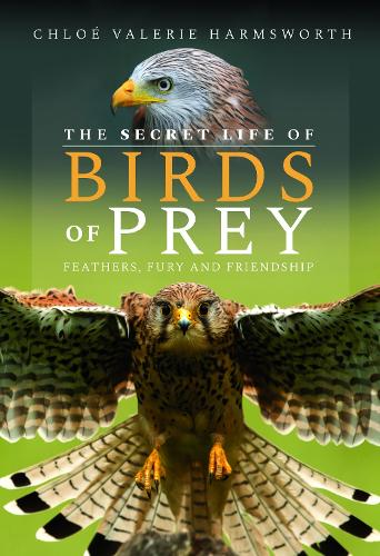 The Secret Life of Birds of Prey by Chloé Valerie Harmsworth