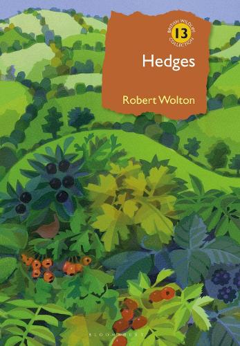 Robert Wolton Hedges