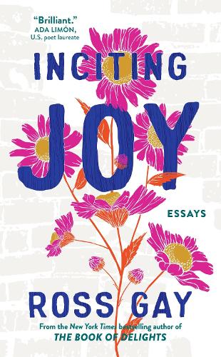 Inciting Joy: Essays (Paperback)