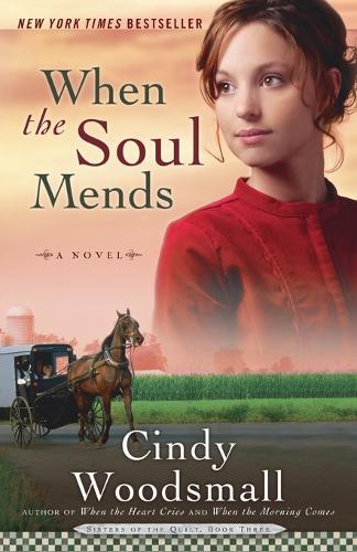 When the Soul Mends - Sisters of the Quilt Series 03 (Paperback)