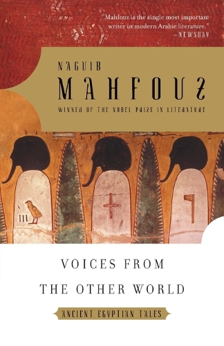 Voices From The Other World (Paperback)