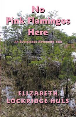 No Pink Flamingos Here (Paperback)