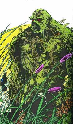 Saga Of The Swamp Thing HC Book 02 (Hardback)