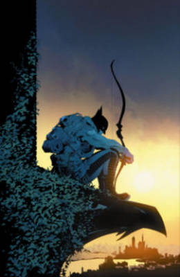 Batman Vol. 5 (Hardback)