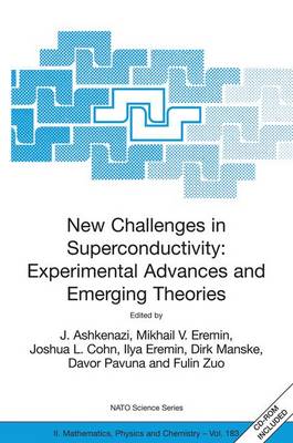 New Challenges in Superconductivity: Experimental Advances and Emerging Theories: Proceedings of the NATO Advanced Research Workshop, held in Miami, Florida, 11-14 January 2004 - NATO Science Series II: Mathematics, Physics and Chemistry 183