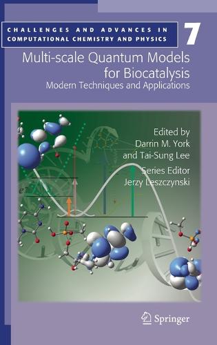 Multi-scale Quantum Models for Biocatalysis: Modern Techniques and Applications - Challenges and Advances in Computational Chemistry and Physics 7 (Hardback)