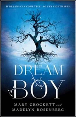 Dream Boy (Paperback)