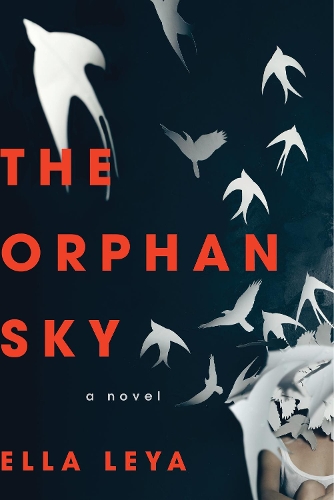 The Orphan Sky: A Novel (Paperback)