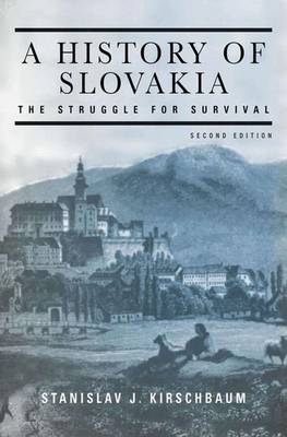 A History of Slovakia (Paperback)