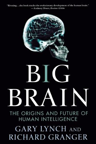 Big Brain: The Origins and Future of Human Intelligence (Paperback)