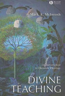 Divine Teaching: An Introduction to Christian Theology (Hardback)