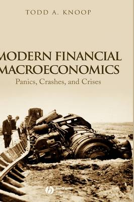 Modern Financial Macroeconomics: Panics, Crashes, and Crises (Hardback)