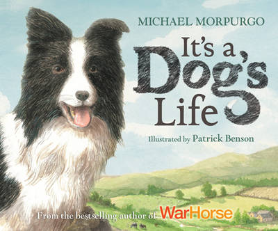 It's a Dog's Life (Paperback)