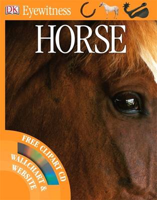 Horse - Eyewitness (Paperback)