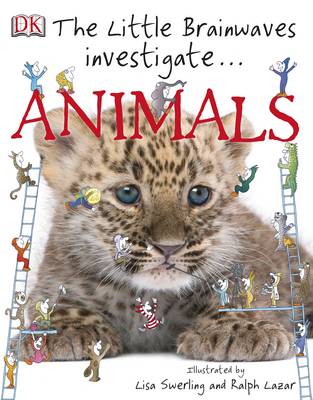 The Little Brainwaves Investigate Animals - Brainwaves (Hardback)