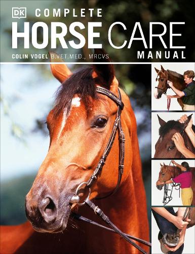 Horse Coloring Books for Girls ages 8-12: Gift Book for Horses Lovers Teens  - Girl ages 8-12 (Gifts for Horse Lover) (Paperback)