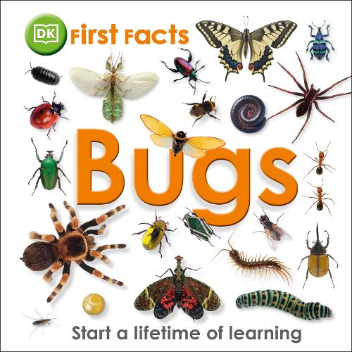 First Facts Bugs - First Facts (Hardback)
