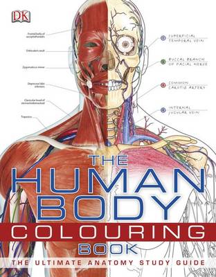 The Human Body Colouring Book | Waterstones