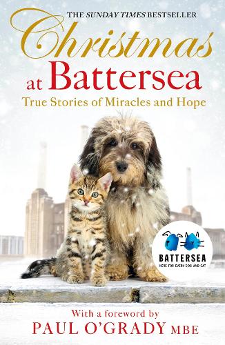 do battersea put healthy dogs down