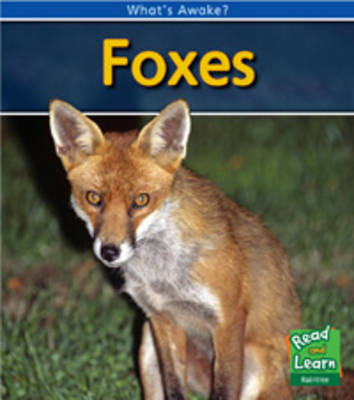 Foxes - Read and Learn: What's Awake? (Hardback)