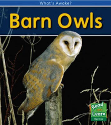 Barn Owls - Read and Learn: What's Awake? (Paperback)