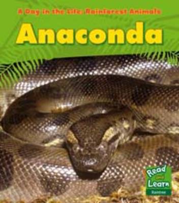 Anaconda - Young Explorer: A Day in the Life: Rainforest Animals (Paperback)