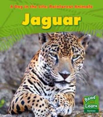 Rainforest Animals: Jaguar - Read and Learn: A Day in the Life: Rainforest Animals (Paperback)