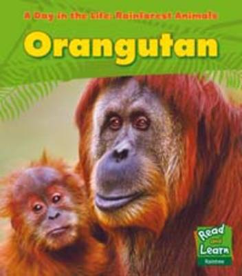 Rainforest Animals: Orangutan - Read and Learn: A Day in the Life: Rainforest Animals (Paperback)