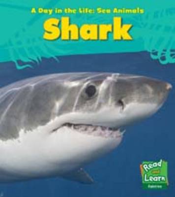 Shark - Young Explorer: A Day in the Life: Sea Animals (Paperback)