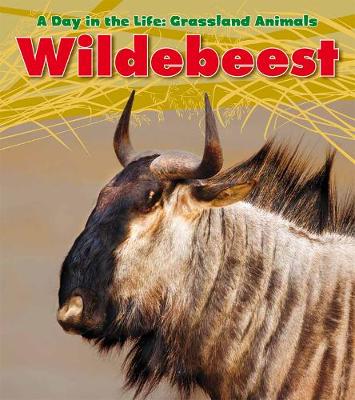 Wildebeest - Read and Learn: A Day in the Life: Grassland Animals (Paperback)