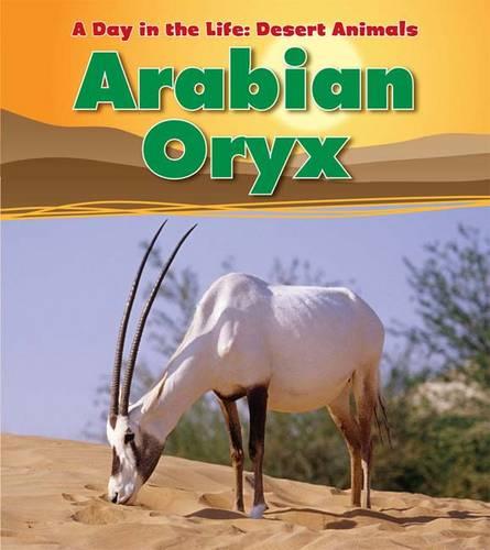 Arabian Oryx - Read and Learn: A Day in the Life: Desert Animals (Paperback)