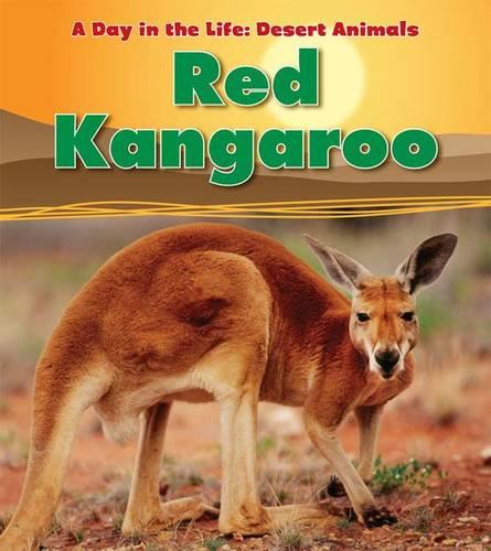 Red Kangaroo - Read & Learn: A Day in the Life: Desert Animals (Paperback)