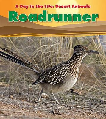 Roadrunner - Read and Learn: A Day in the Life: Desert Animals (Paperback)