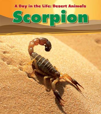 Scorpion - Read and Learn: A Day in the Life: Desert Animals (Paperback)