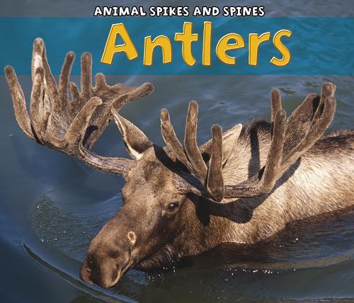 Antlers - Acorn: Animal Spikes and Spines (Paperback)