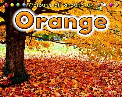 Orange - Early Years: Colours All Around Us (Hardback)