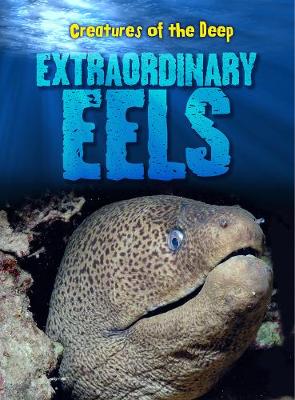 Extraordinary Eels - Creatures of the Deep (Hardback)