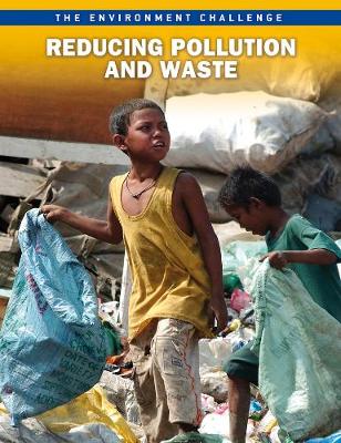 Reducing Pollution and Waste - Raintree Freestyle: The Environment Challenge (Paperback)