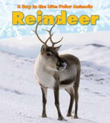 Reindeer - Read and Learn: A Day in the Life: Polar Animals (Paperback)