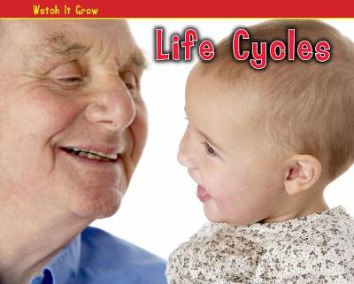Life Cycles - Acorn Plus: (Hardback)