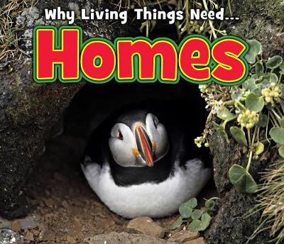 Homes - Acorn: Why Living Things Need (Hardback)