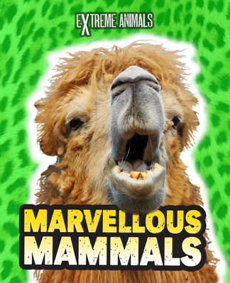 Marvellous Mammals - Read Me!: Extreme Animals (Hardback)